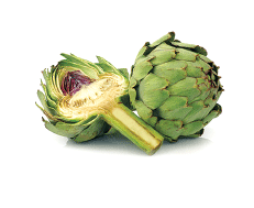 Artichoke