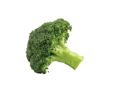 Broccoli