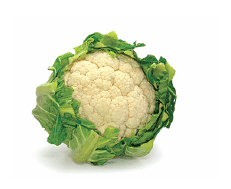 Cauli