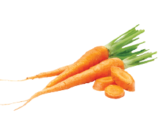 carrot